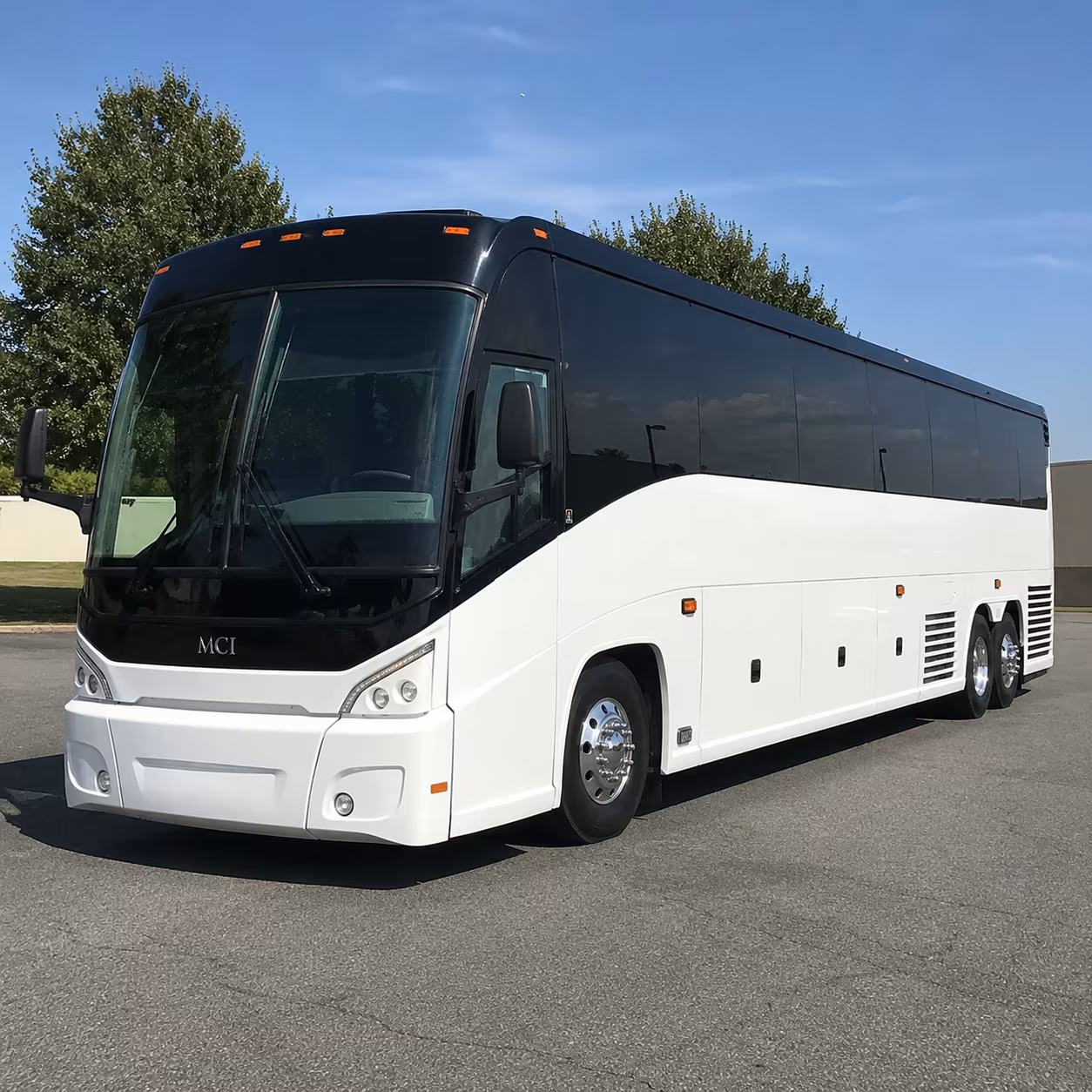 Vista Wedding Transportation