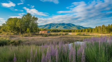 blue sky ecological reserve