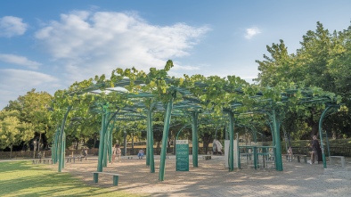 grape day park