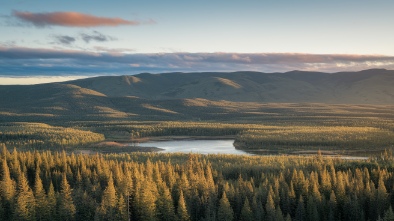 northwest