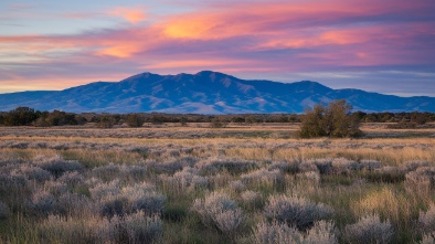ramona grasslands county preserve