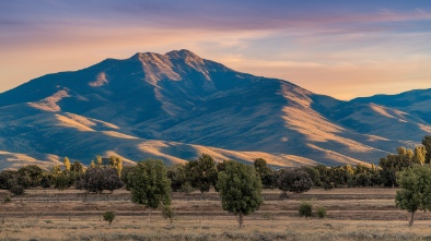 rancho del rey