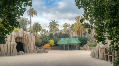 san diego zoo