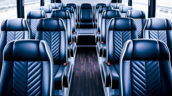 vista 20 passenger minibus rental