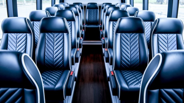 vista 28 passenger minibus rental