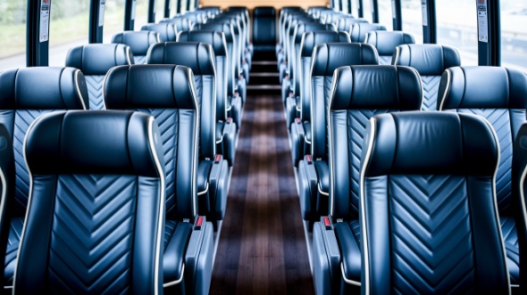 vista 54 passenger charter bus rental