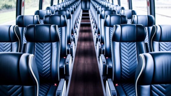 vista 55 passenger charter bus rental