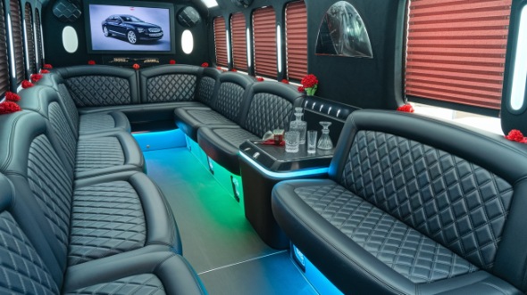 vista sprinter limo rental interior