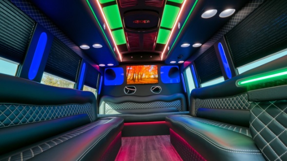 vista sprinter limo rental rental