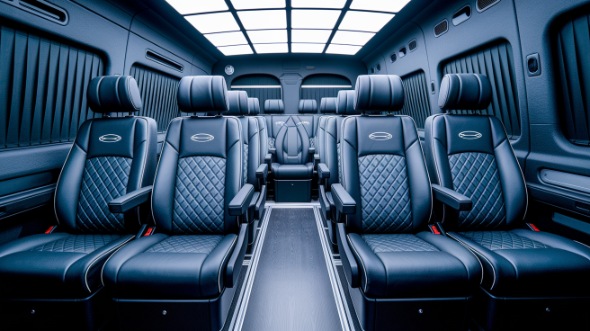 vista sprinter van with driver rental